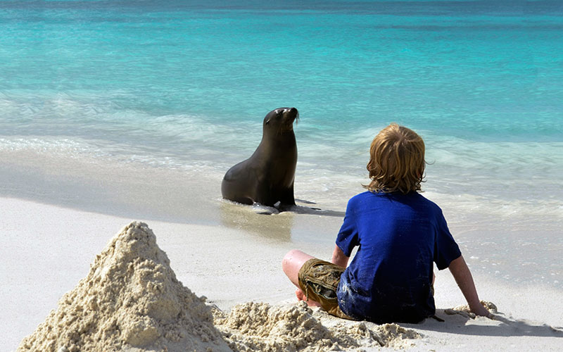 galapagos hotels cruises sealion photography travel tours