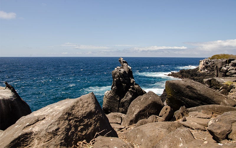 Dry Season in Galapagos
