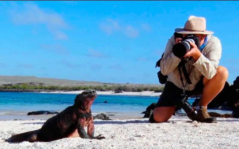 photography tour how to plan galapagos ecuador vacation travel