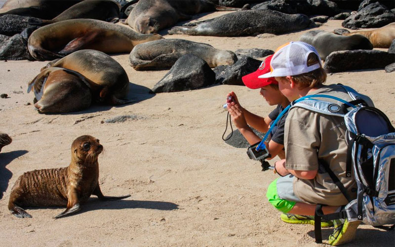 kids sealion galapagos family vacation travel tour ecuador galapagosislands