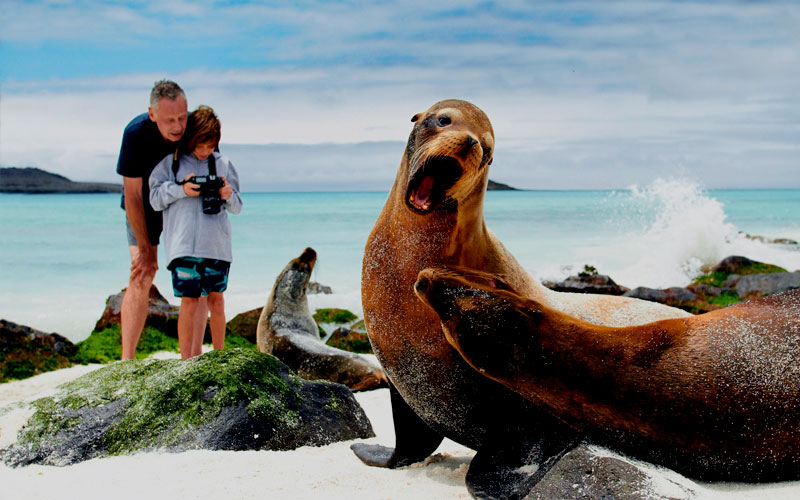 photography galapagos family vacation travel tour ecuador galapagosislands