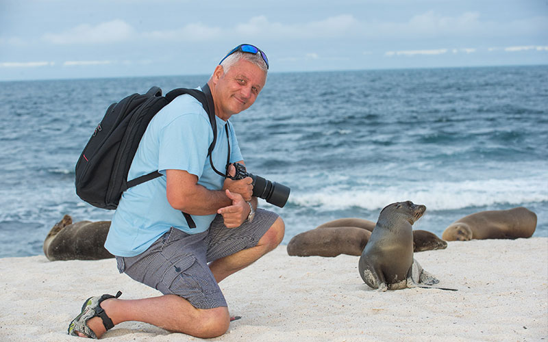 Sea Lion Galapagos