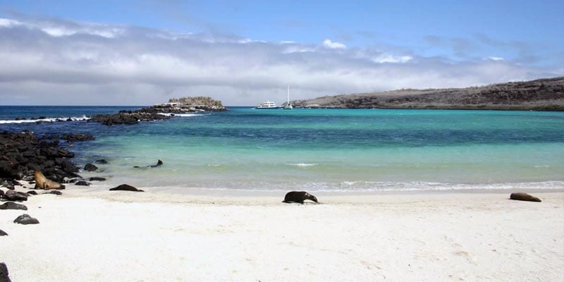 tortuga bay beach galapagos sea ocean galapagosislands ecuador