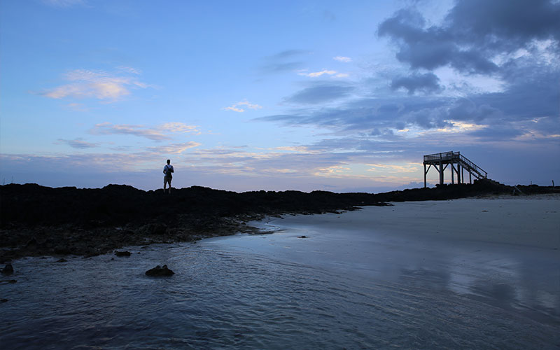 sealion cruises sea sunset galapagos ecuador travel vacations tours wildlife