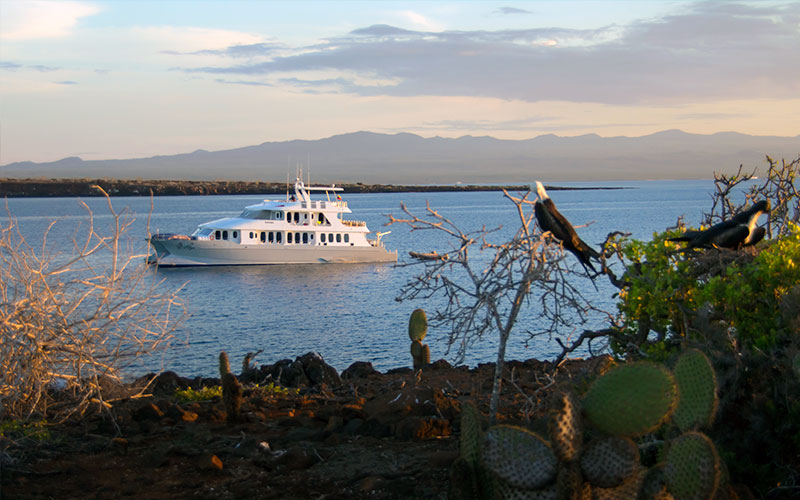 cruise boat tourism galapagos islands ecuador travel tour history