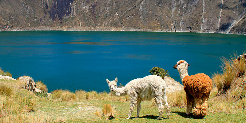 ecuador vacations southamerica quilotoa