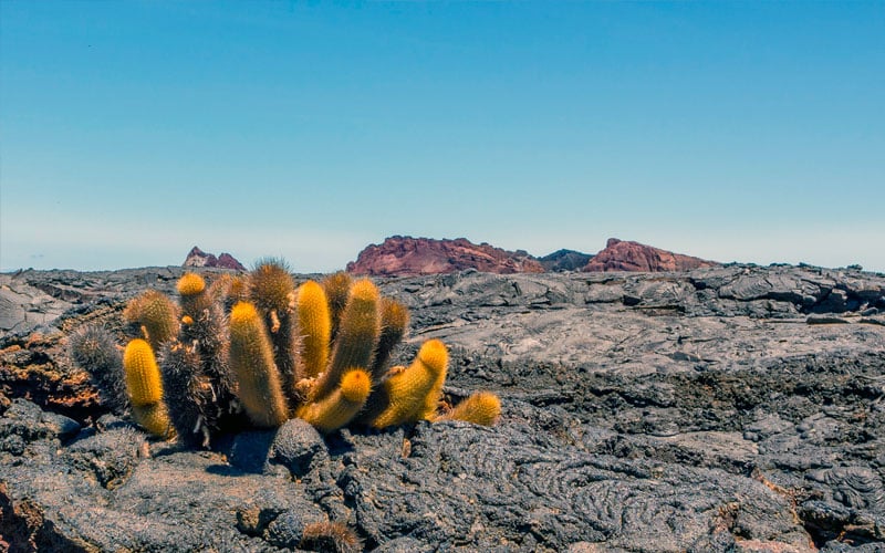 geology galapagos islands ecuador travel tour history