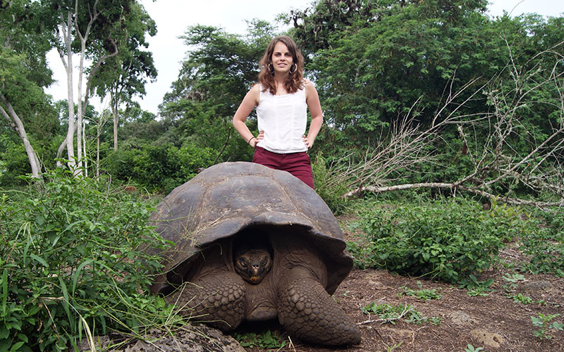 giant tortoise warm- season beach best time galapagos sky summer vacation travel summer winter ecuador galapagos islands