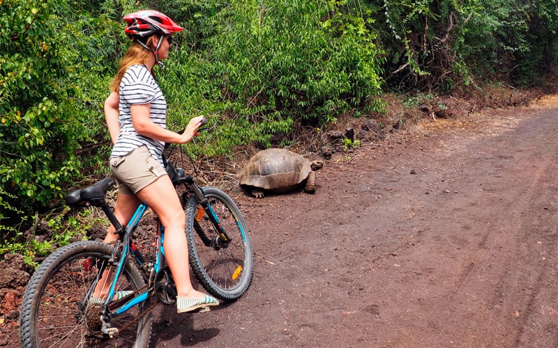 how to get to galapagos moving around bicycle