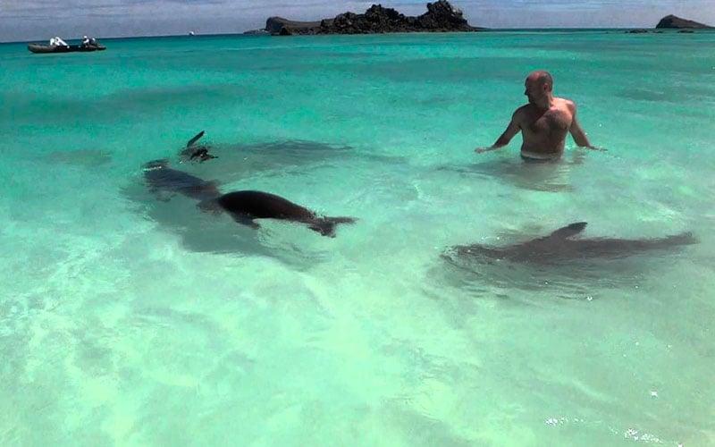 sea best time galapagos sky summer vacation travel summer winter ecuador galapagos islands