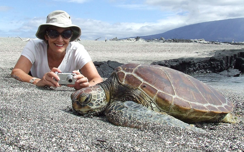 galapagos-sea tortoise galapagosislands ecuador photography travel