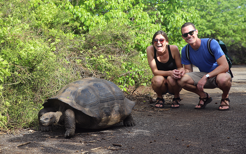 honeymoon in galapagos tortoise