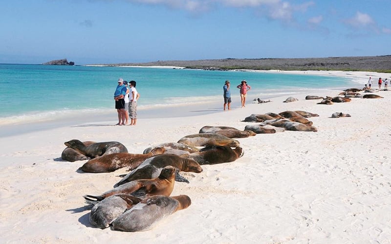 7 Essential Travel Safety Tips for the Galapagos Islands