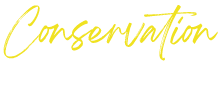 default img