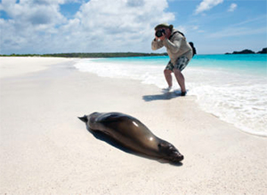 galapagos beaches