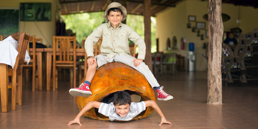 boys & galapagos carapace