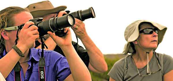 galapagos birdwatching