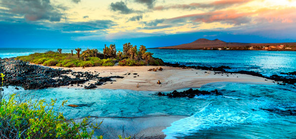 Galapagos: What’s in a name? ⋆ Galapagos Islands - Travel Guide