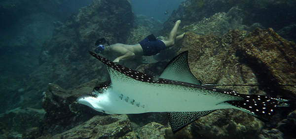 Galapagos Islands Scuba Diving