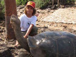 lonesome george