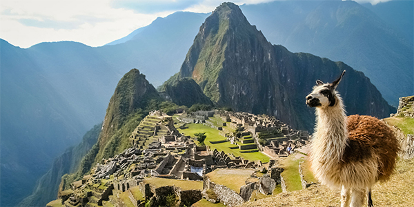 machu picchu