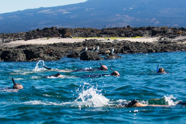 Snorkeling