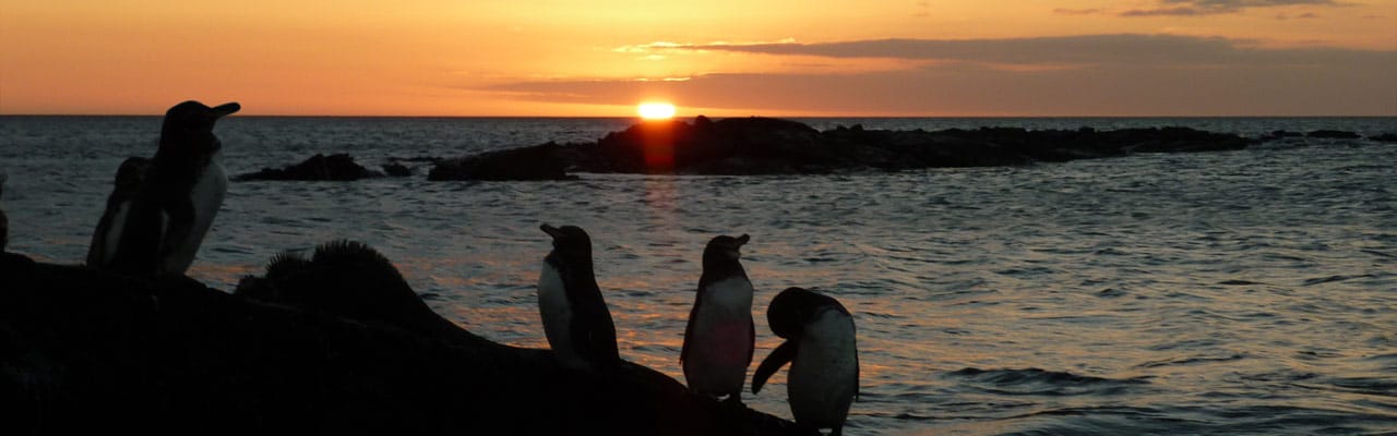 Galapapagos in September