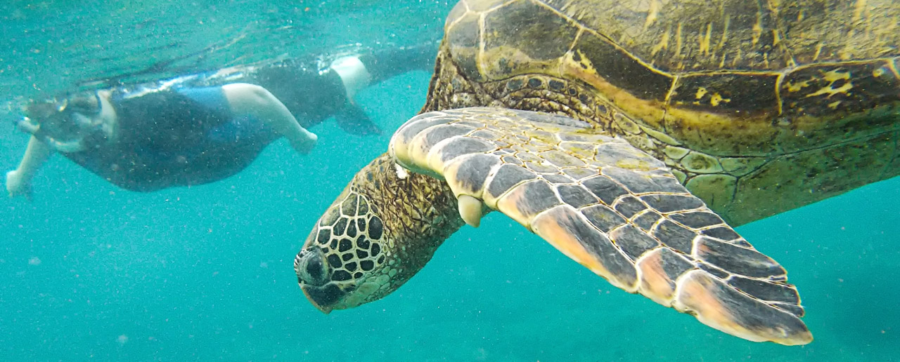 Galapagos Experiences