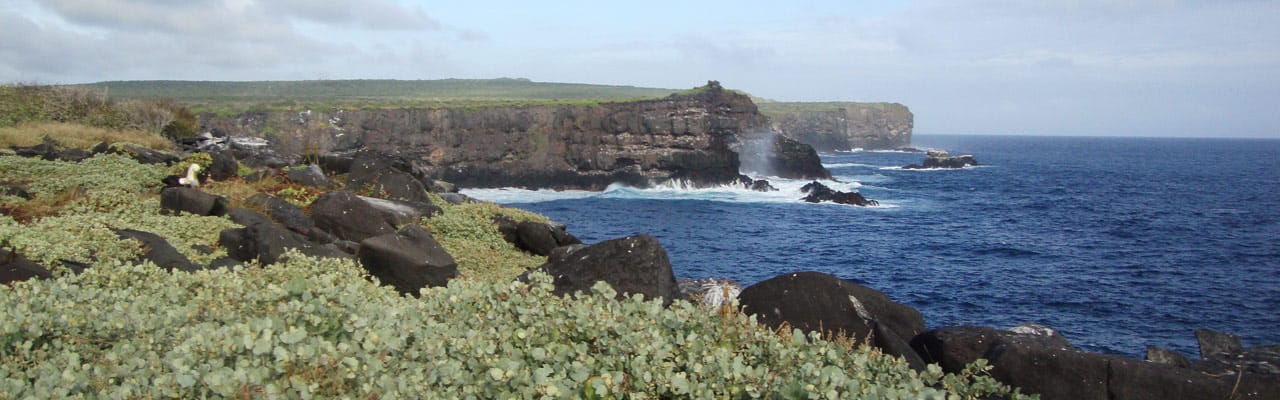 Galapapagos in January