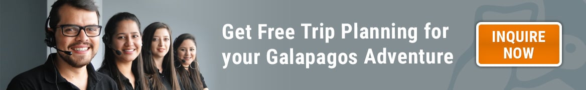 Get Free Trip Planning