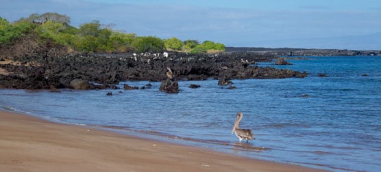 Santiago Island