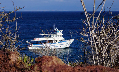 Galapagos Trip Planning