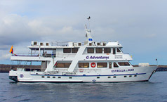 estrella-de-mar