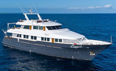 Galapagos Trip Planning