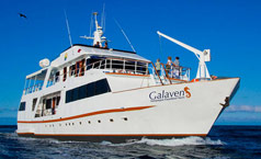 galaven
