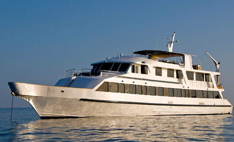 Galapagos Trip Planning