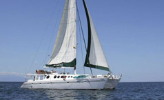 nemo-ii