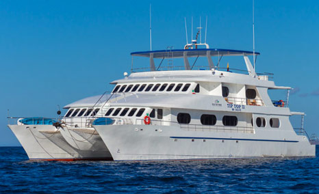 Galapagos Liveaboard Comparison Chart