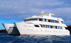 Treasure of Galapagos