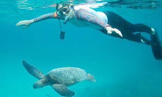 Galapagos Diving Tours