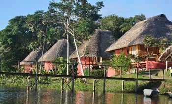 Napo Wildlife Center - Amazon Jungle