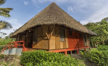 Yasuni Ecolodge - Amazon Jungle