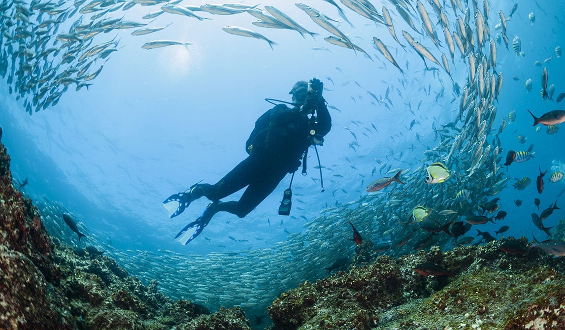 Galapagos Cruise Diving