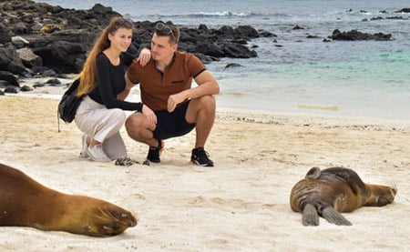 Galapagos Wildlife