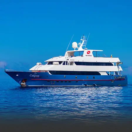 Liveaboard Diving Cruises