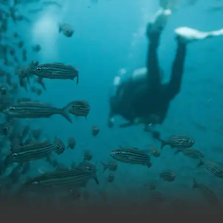 galapagos trips