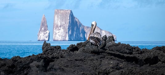 Galapagos Hopping From Bay To Bay