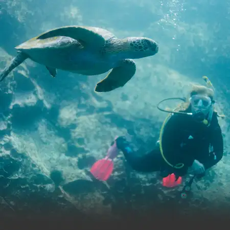 Land + Dive Combo Tours