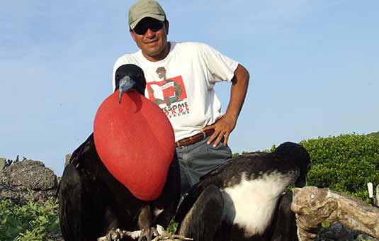 Frigatebird