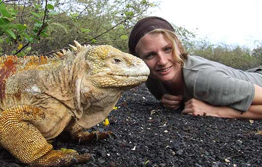 Land Iguana